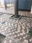 Устройство тротуарной плитки в Красноярске